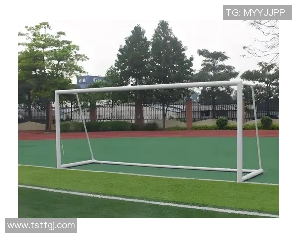 门下球足球:探索足球运动的魅力与发展历程,激发青少年热爱运动的热情